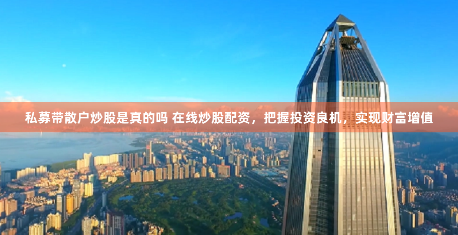维嘉配资